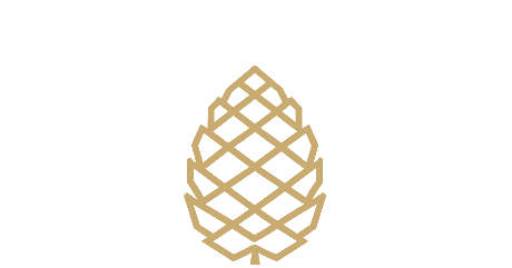 Pinecone Property Group logo